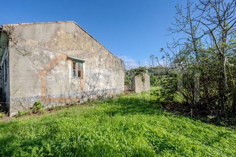 Landejendom i Leiria, Leiria, Leiria - € 152.000 | Ref: SAFTI:005981 - foto 10
