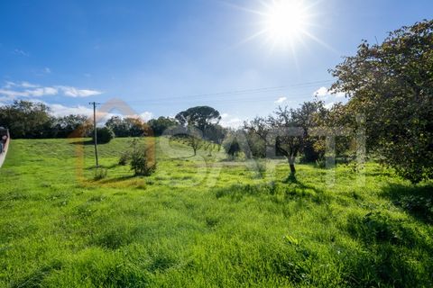 Landejendom i Leiria, Leiria, Leiria - € 152.000 | Ref: SAFTI:005981 - foto 12