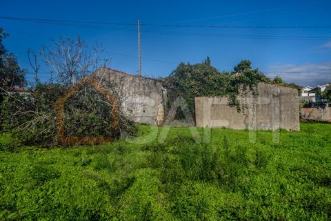 Landejendom i Leiria, Leiria, Leiria - € 152.000 | Ref: SAFTI:005981 - foto 14