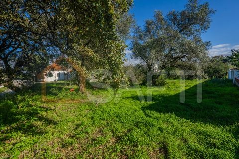Landejendom i Leiria, Leiria, Leiria - € 152.000 | Ref: SAFTI:005981 - foto 20