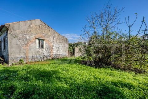 Landejendom i Leiria, Leiria, Leiria - € 152.000 | Ref: SAFTI:005981 - foto 21