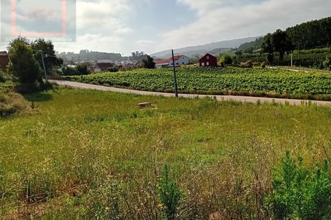 Tomt i A dos Francos, Leiria, A dos Francos - € 69 000 | Ref: SCL1048 - foto 5
