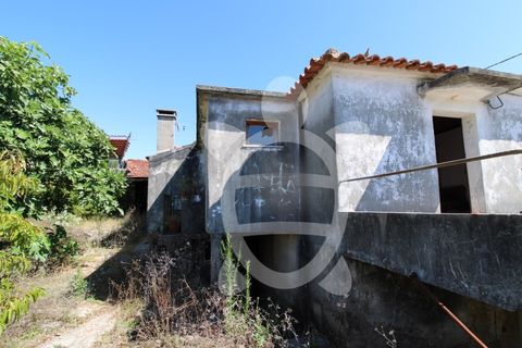 Villa a Condeixa-a-Nova, Coimbra, Condeixa-a-Nova - € 76.000 | Ref: cbr3215 - foto 11