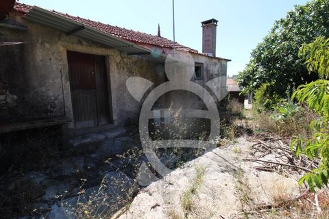 Villa a Condeixa-a-Nova, Coimbra, Condeixa-a-Nova - € 76.000 | Ref: cbr3215 - foto 12