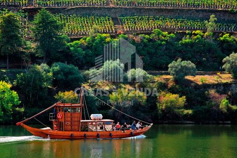 Farm i Loures, Lisbon, Loures - € 2.500.000 | Ref: FIN_3 - foto 2