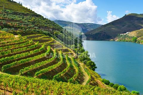 Farm i Loures, Lisbon, Loures - € 2.500.000 | Ref: FIN_3 - foto 3