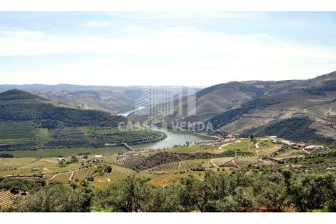 Farm i Loures, Lisbon, Loures - € 2.500.000 | Ref: FIN_3 - foto 5