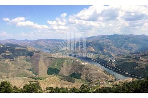 Farm i Loures, Lisbon, Loures - € 2.500.000 | Ref: FIN_3 - foto 7