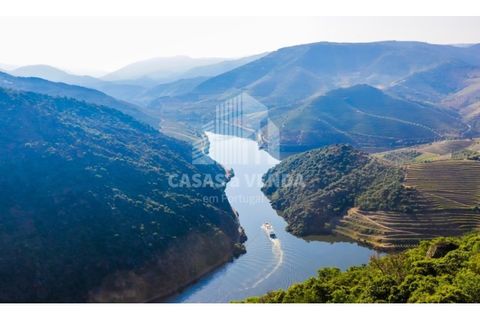 Farm i Loures, Lisbon, Loures - € 2.500.000 | Ref: FIN_3 - foto 8