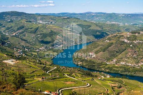 Farm i Loures, Lisbon, Loures - € 2.500.000 | Ref: FIN_3 - foto 10