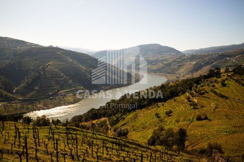 Farm i Loures, Lisbon, Loures - € 2.500.000 | Ref: FIN_3 - foto 11
