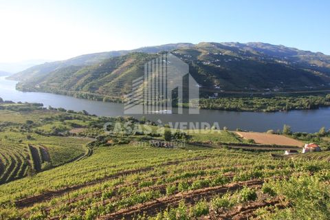 Farm i Loures, Lisbon, Loures - € 2.500.000 | Ref: FIN_3 - foto 12