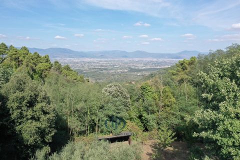 Villa a Lamporecchio, Pistoia, Lamporecchio - € 690.000 | Ref: 83821143 - foto 7