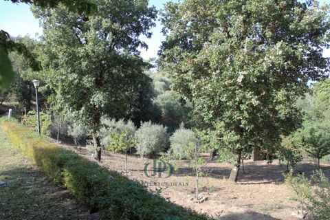 Villa a Lamporecchio, Pistoia, Lamporecchio - € 690.000 | Ref: 83821143 - foto 9