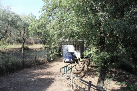 Villa a Lamporecchio, Pistoia, Lamporecchio - € 690.000 | Ref: 83821143 - foto 12