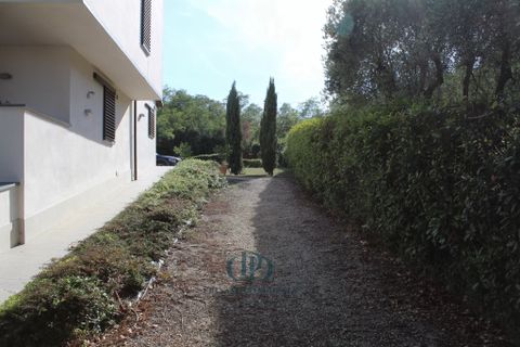 Villa a Lamporecchio, Pistoia, Lamporecchio - € 690.000 | Ref: 83821143 - foto 14