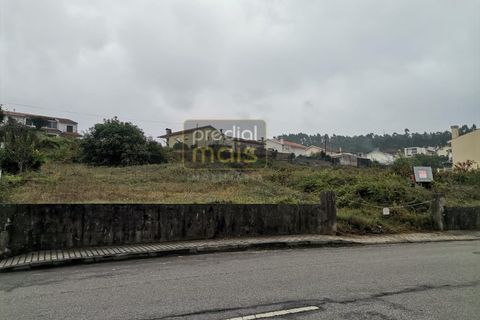 Terra a Mogege, Braga, Mogege - € 220.000 | Ref: 1049 - foto 2