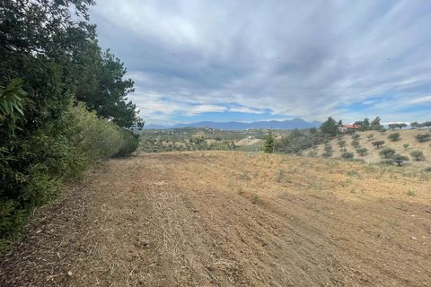 Terra a Moscufo, Pescara, Moscufo - € 27.000 | Ref: 85363843 - foto 2