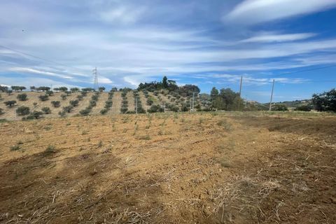 Terra a Moscufo, Pescara, Moscufo - € 27.000 | Ref: 85363843 - foto 5