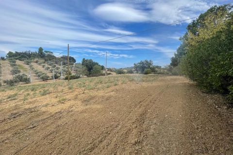 Terra a Moscufo, Pescara, Moscufo - € 27.000 | Ref: 85363843 - foto 6