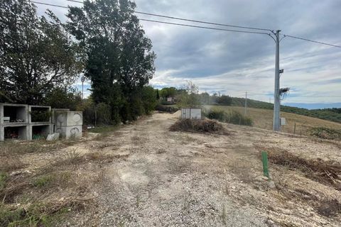 Terra a Moscufo, Pescara, Moscufo - € 27.000 | Ref: 85363869 - foto 5