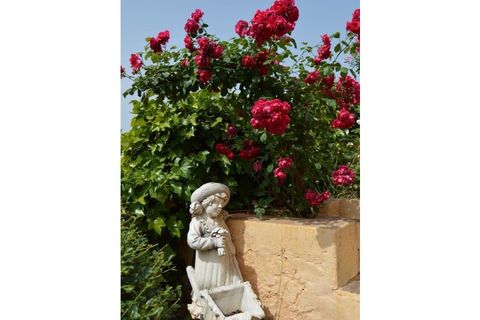 Villa i Silves, Faro, Silves - € 4.000.000 | Ref: SPMA0608-543 - foto 16