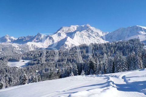 Træhytte i Megève, Haute-Savoie, Megève - € 6.375.000 | Ref: XP01776 - foto 9