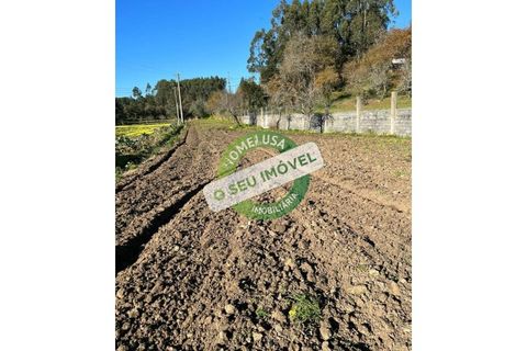 Helårsgrund i Vila Verde, Coimbra, Vila Verde - € 35.000 | Ref: FFMS 1848 - foto 1