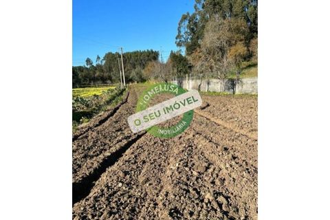 Helårsgrund i Vila Verde, Coimbra, Vila Verde - € 35.000 | Ref: FFMS 1848 - foto 4