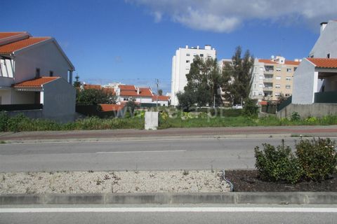 Helårsgrund i Castelo Branco, Castelo Branco, Castelo Branco - € 48.000 | Ref: 102200123 - foto 2