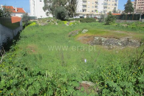 Helårsgrund i Castelo Branco, Castelo Branco, Castelo Branco - € 48.000 | Ref: 102200123 - foto 3