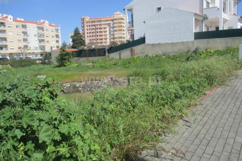 Helårsgrund i Castelo Branco, Castelo Branco, Castelo Branco - € 48.000 | Ref: 102200123 - foto 4