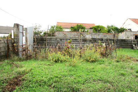 Helårsgrund i Castelo Branco, Castelo Branco, Castelo Branco - € 37.500 | Ref: 102200455 - foto 7