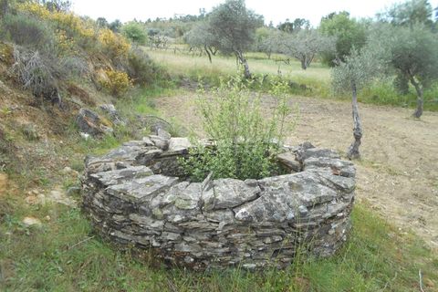 Landejendom i Castelo Branco, Castelo Branco, Castelo Branco - € 27.500 | Ref: 102210084 - foto 5