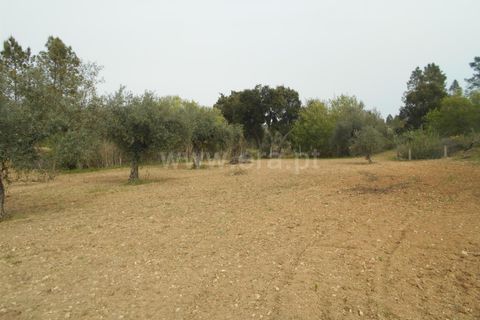 Landejendom i Castelo Branco, Castelo Branco, Castelo Branco - € 27.500 | Ref: 102210084 - foto 7