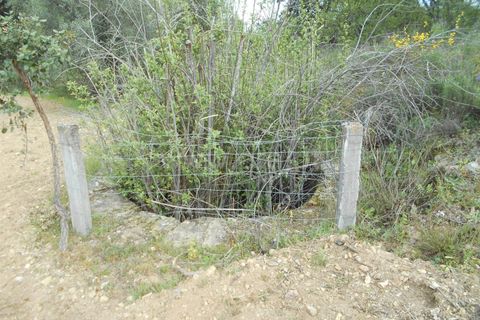 Landejendom i Castelo Branco, Castelo Branco, Castelo Branco - € 27.500 | Ref: 102210084 - foto 8