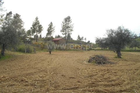Landejendom i Castelo Branco, Castelo Branco, Castelo Branco - € 27.500 | Ref: 102210084 - foto 10