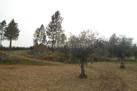 Landejendom i Castelo Branco, Castelo Branco, Castelo Branco - € 27.500 | Ref: 102210084 - foto 14