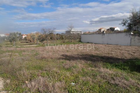 Helårsgrund i Castelo Branco, Castelo Branco, Castelo Branco - € 70.000 | Ref: 102210288 - foto 2