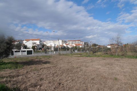 Helårsgrund i Castelo Branco, Castelo Branco, Castelo Branco - € 70.000 | Ref: 102210288 - foto 3