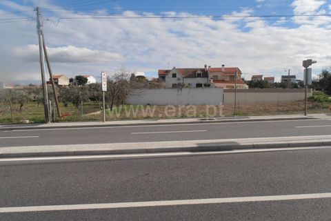 Helårsgrund i Castelo Branco, Castelo Branco, Castelo Branco - € 70.000 | Ref: 102210288 - foto 5