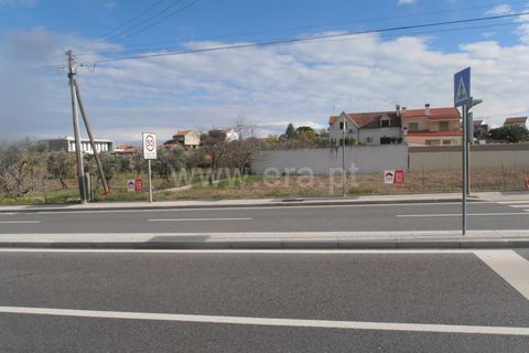 Helårsgrund i Castelo Branco, Castelo Branco, Castelo Branco - € 70.000 | Ref: 102210288 - foto 6