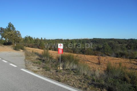 Helårsgrund i Castelo Branco, Castelo Branco, Castelo Branco - € 17.500 | Ref: 102220070 - foto 3