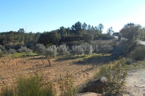 Helårsgrund i Castelo Branco, Castelo Branco, Castelo Branco - € 17.500 | Ref: 102220070 - foto 4