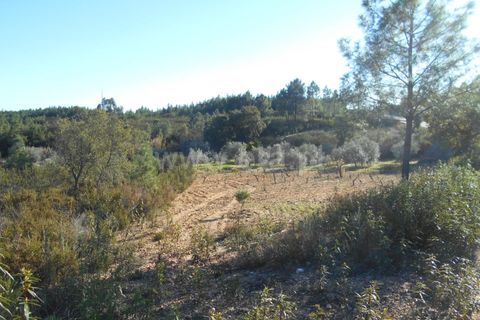 Helårsgrund i Castelo Branco, Castelo Branco, Castelo Branco - € 17.500 | Ref: 102220070 - foto 6