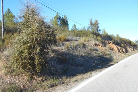 Helårsgrund i Castelo Branco, Castelo Branco, Castelo Branco - € 17.500 | Ref: 102220070 - foto 7
