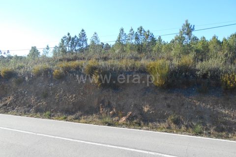 Helårsgrund i Castelo Branco, Castelo Branco, Castelo Branco - € 17.500 | Ref: 102220070 - foto 8