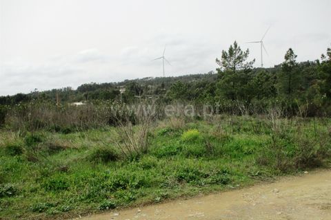 Helårsgrund i Castelo Branco, Castelo Branco, Castelo Branco - € 27.500 | Ref: 102220099 - foto 2