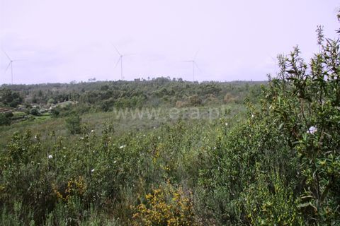 Helårsgrund i Castelo Branco, Castelo Branco, Castelo Branco - € 27.500 | Ref: 102220099 - foto 3