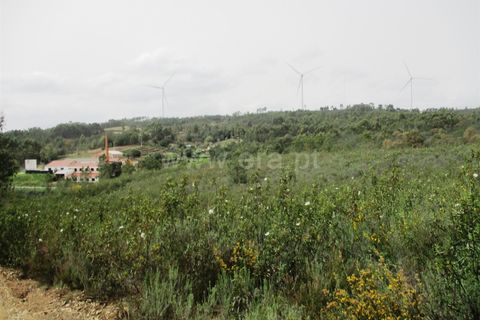 Helårsgrund i Castelo Branco, Castelo Branco, Castelo Branco - € 27.500 | Ref: 102220099 - foto 4